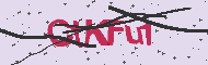 Captcha認証コード