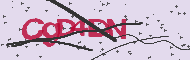 Captcha認証コード
